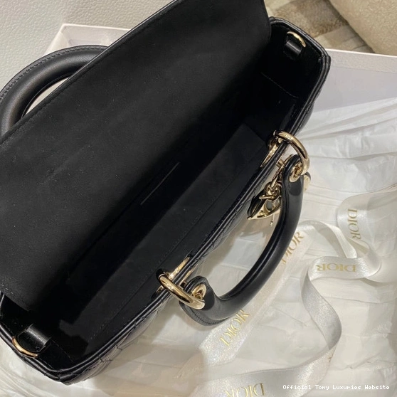Tony Luxuries D-JOY BAG-26*13.5*5CM LADY diro 0816